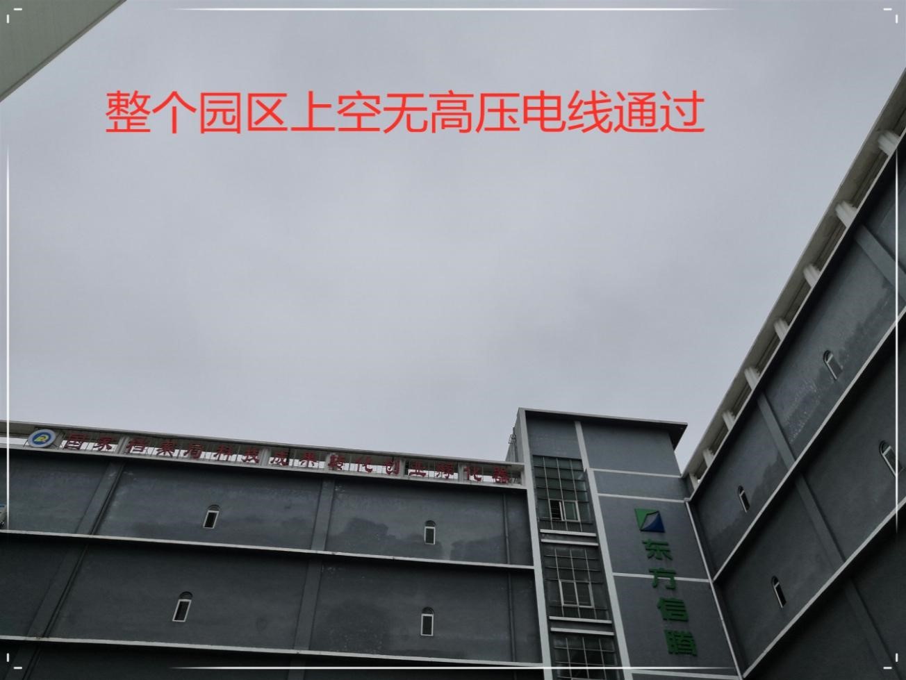 91APP免费看片公司