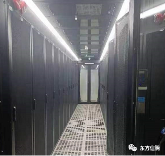 91看片成人软件